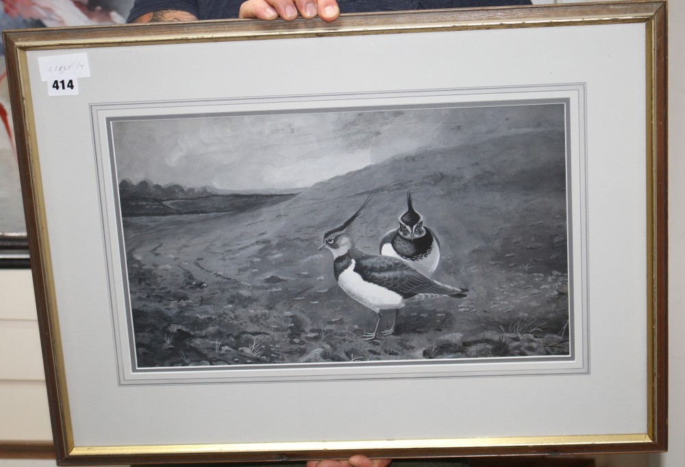 Archibald Thorburn (1860-1935), watercolour and gouache en grisaille, Two Lapwing in a moorland and landscape, signed, 27 x 46cm